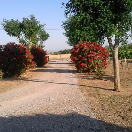 Σπίτι διακοπών Monolocale Con Giardino *