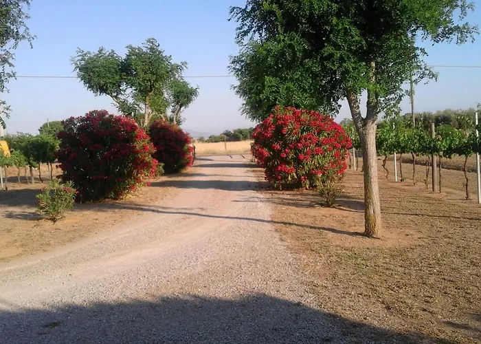 Dom wakacyjny Monolocale Con Giardino *